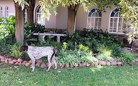 Why Not Guesthouse